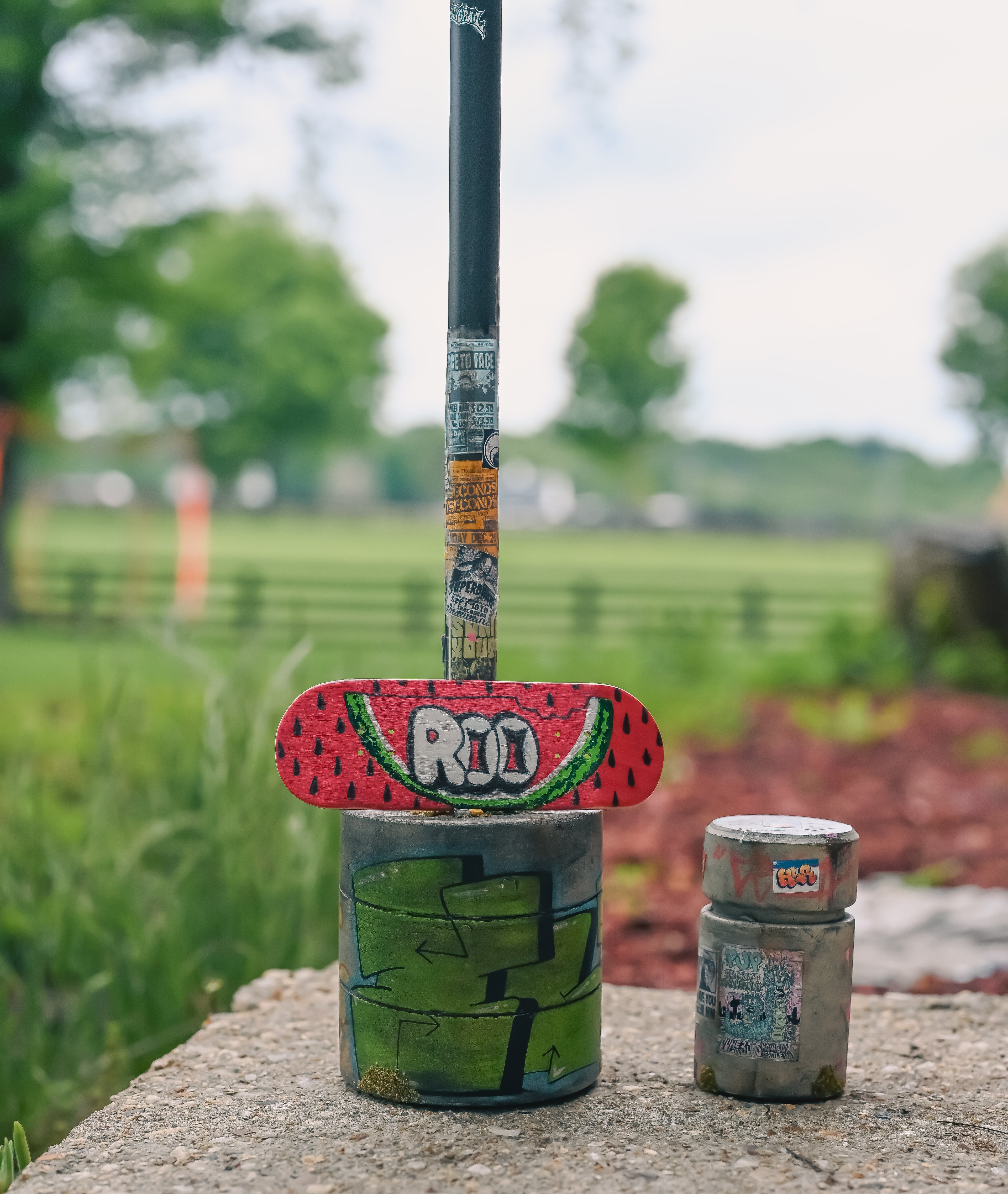 Hand Painted Roo Watermelon Bite Board SOLD